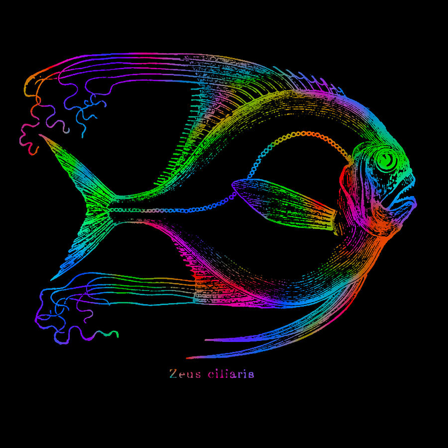 Rainbow Fish - Zesus-Ciliaris Digital Art by David Blank