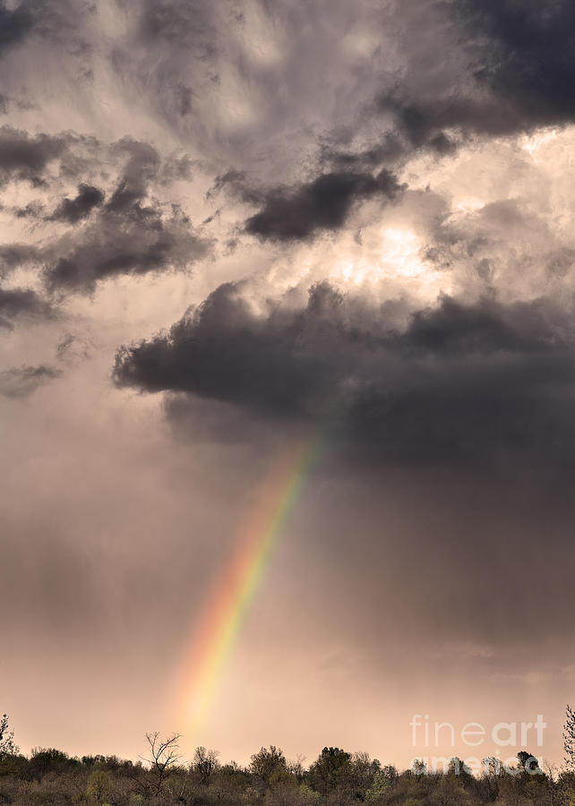 Nature Photograph - Rainbow Forms as Storm Clouds Pass by Brandon Alms