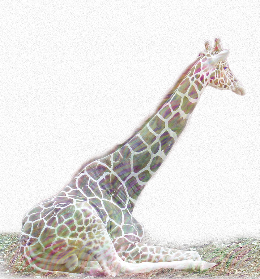 Rainbow Giraffe Digital Art