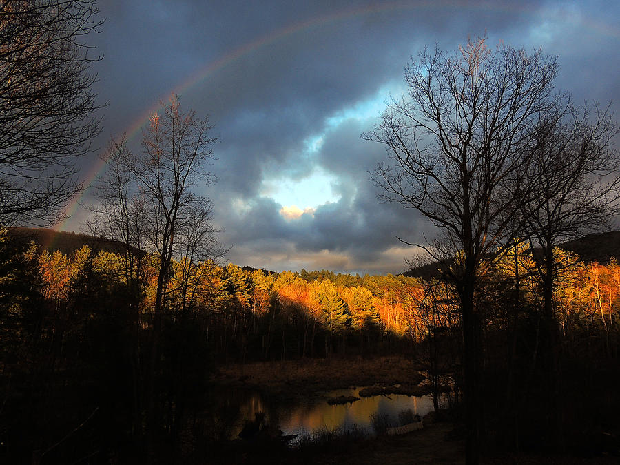 Rainbow Heart Photograph by Mim White