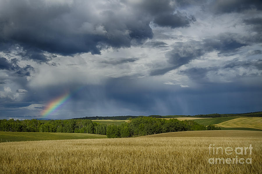 Rainbow Photograph by Idaho Scenic Images Linda Lantzy