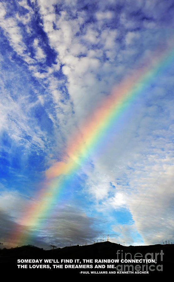 Tree Photograph - Rainbow in a Cloud Filled Sky by Jim Fitzpatrick