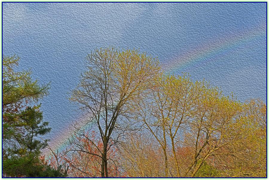 Rainbow In Spring Photograph