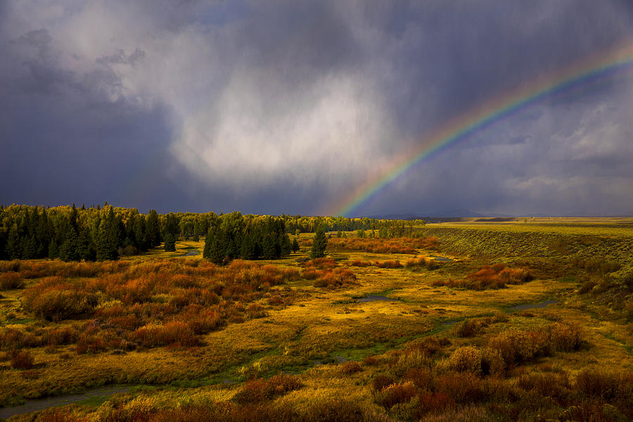 Rainbow in the Fall Photograph by Jeff Shumaker