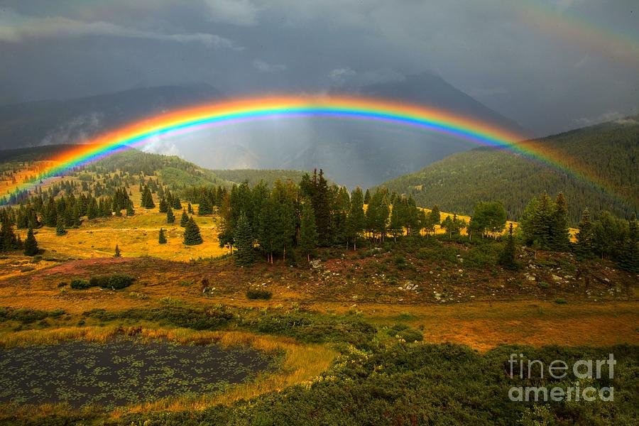 Rainbow In The Forest Photograph by Adam Jewell - Pixels