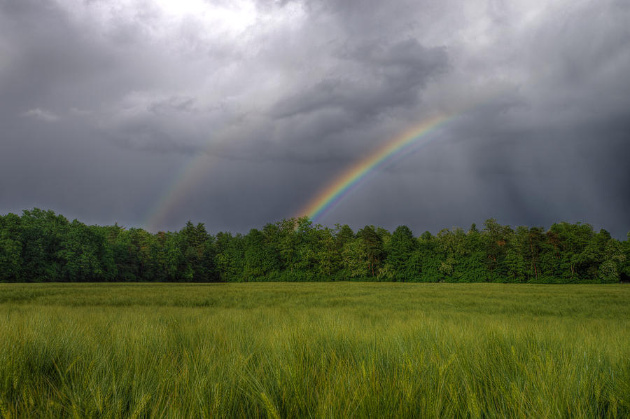 Rainbow Photograph by Ivan Slosar