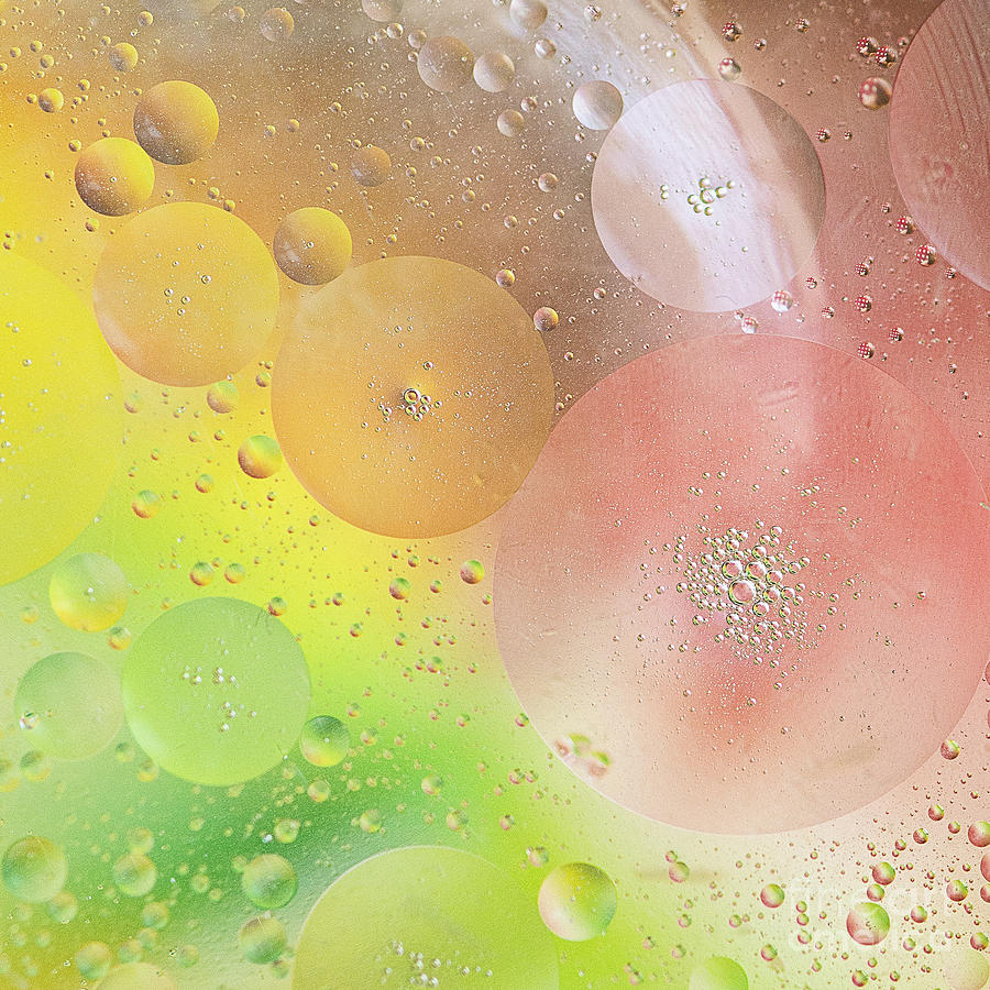 Bubbles Photograph by Ivy Ho