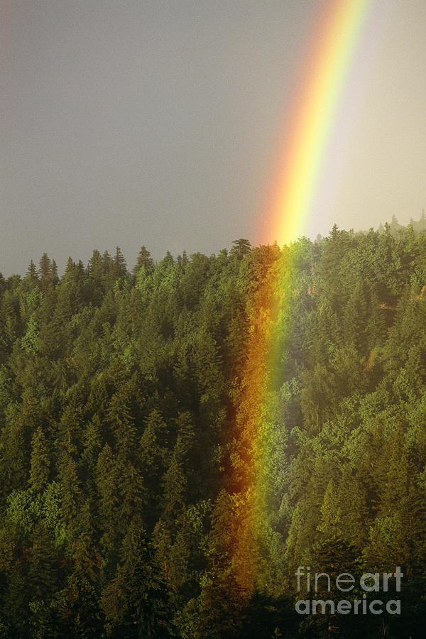 Rainbow Photograph by Jim Corwin