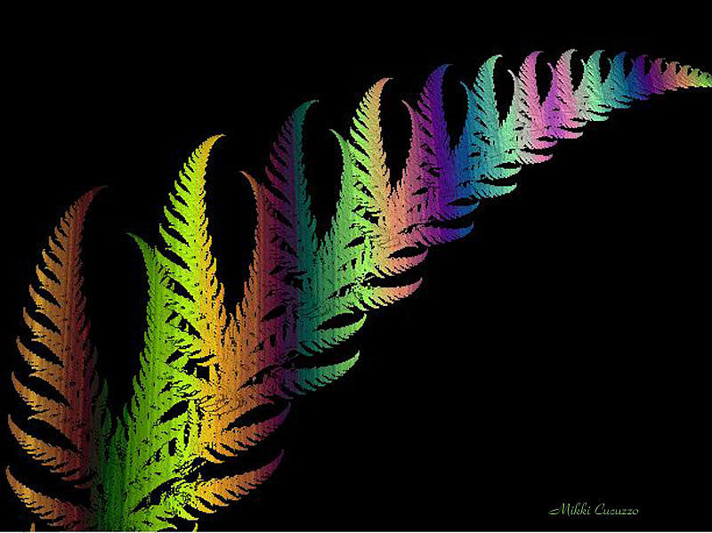 Rainbow leaves Fractals Photograph by Mikki Cucuzzo