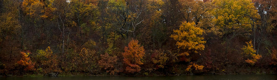 Rainbow Leaves Photograph by Ryan Heffron