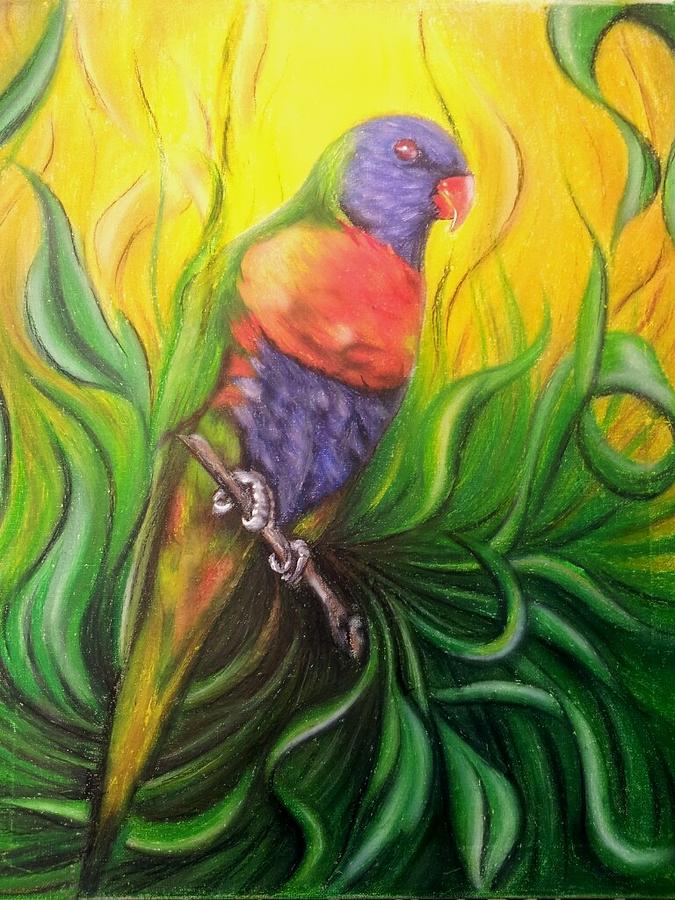 Parrot Painting - Rainbow Lorikeet by Carlos Perez