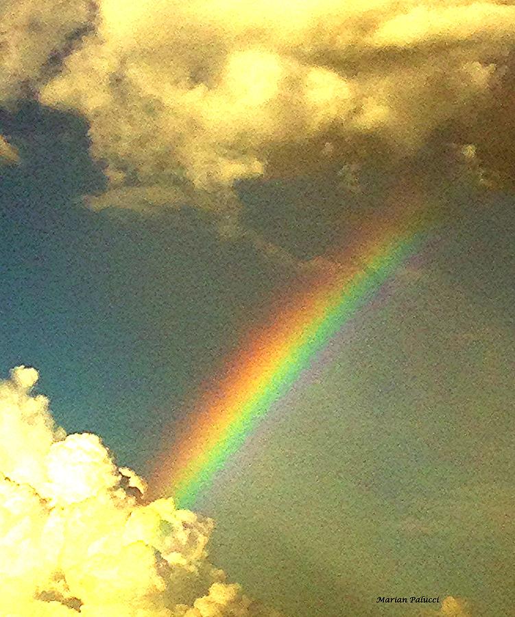 Rainbow Photograph by Marian Lonzetta