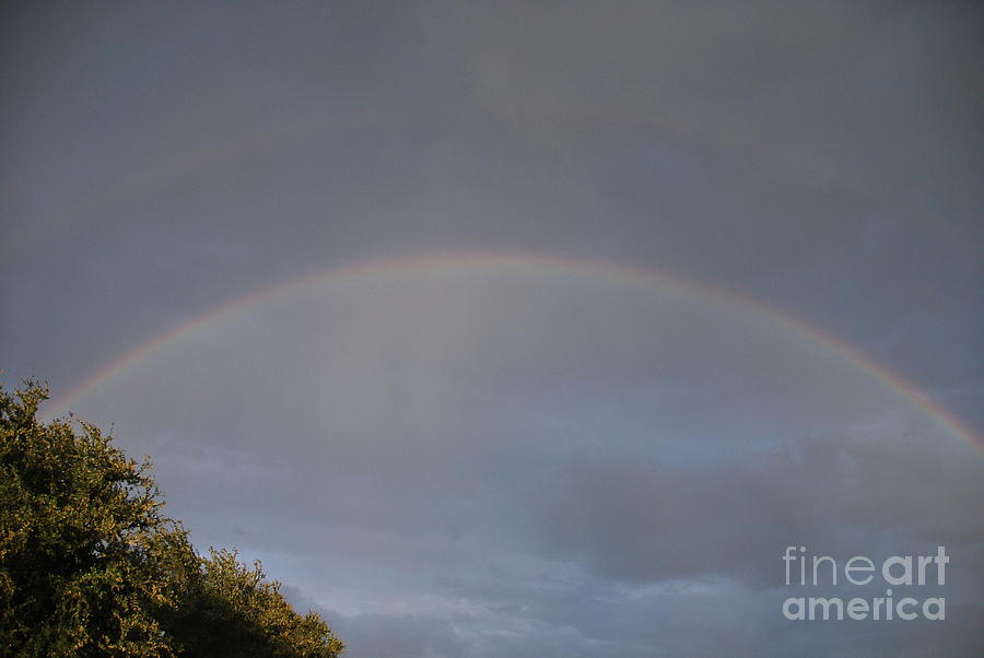 Dallas Photograph - Rainbow by Michelle Pierce