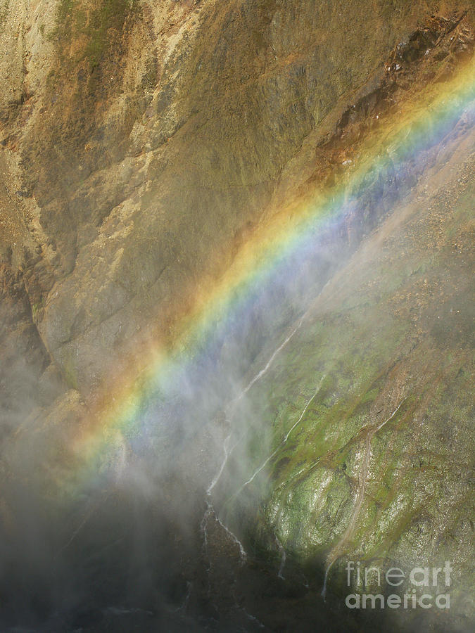 Rainbow Mist Photograph By Jackie Farnsworth | Fine Art America