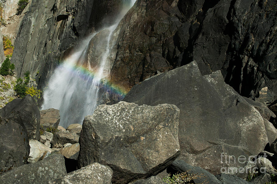 Rainbow Photograph by Misty Tienken