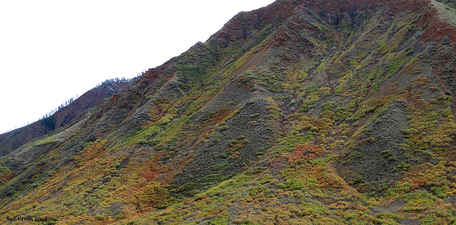 Fall Photograph - Rainbow Mountain by Cecily Vermote