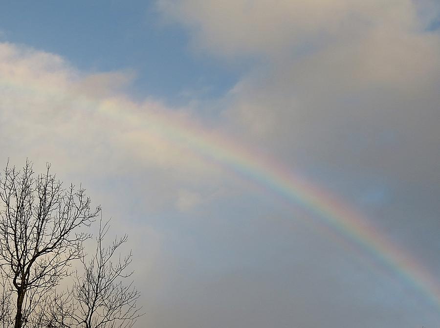 Rainbow Photograph by MTBobbins Photography - Fine Art America