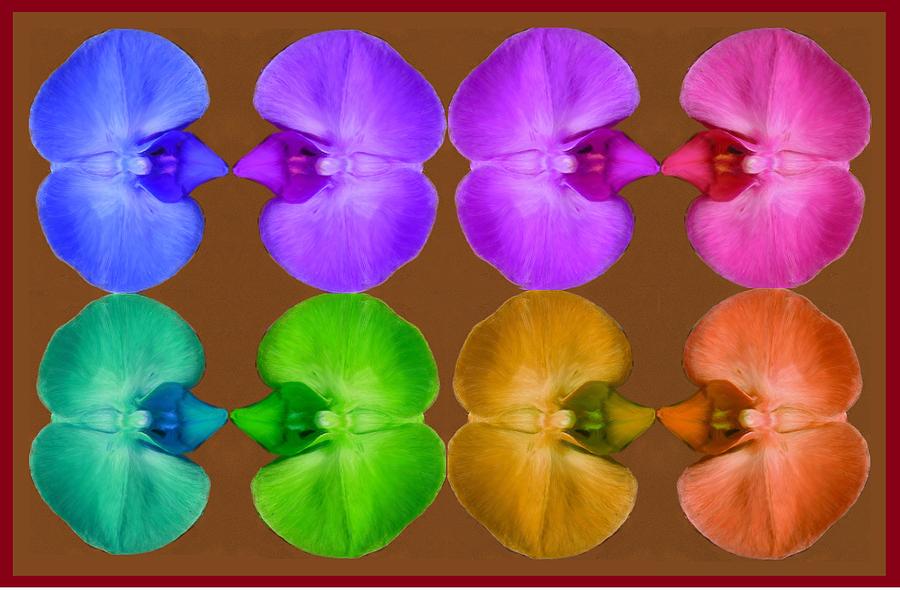 Rainbow of Orchids Painting by Bruce Nutting