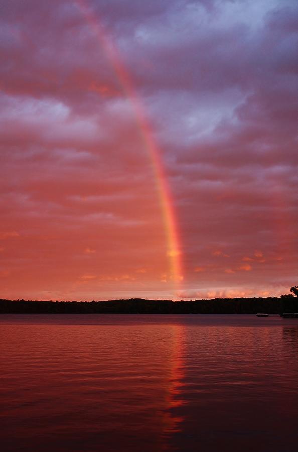 Tree Photograph - Rainbow on the Lake by Bruce Bley
