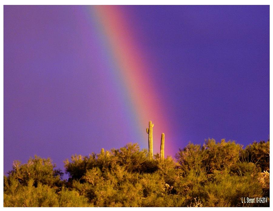 Rainbow on The Ridge Photograph by L L Stewart
