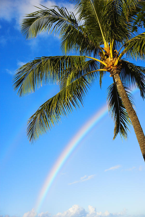 Rainbow Over Ala Moana Photograph by Dana Edmunds - Printscapes