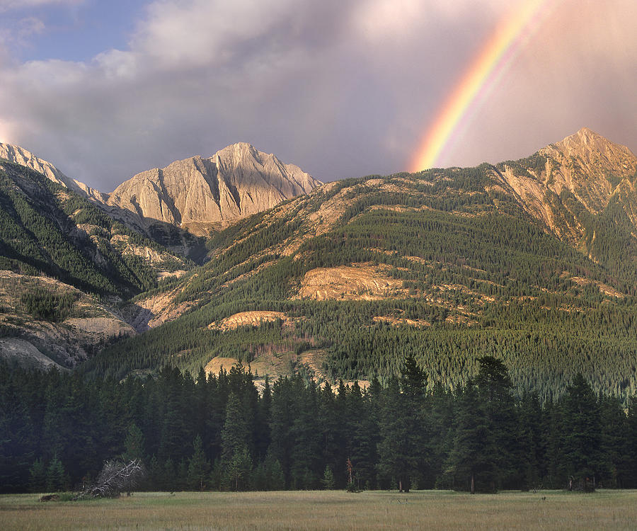 Rainbow Over Colin Range Jasper Np Photograph by Tim Fitzharris