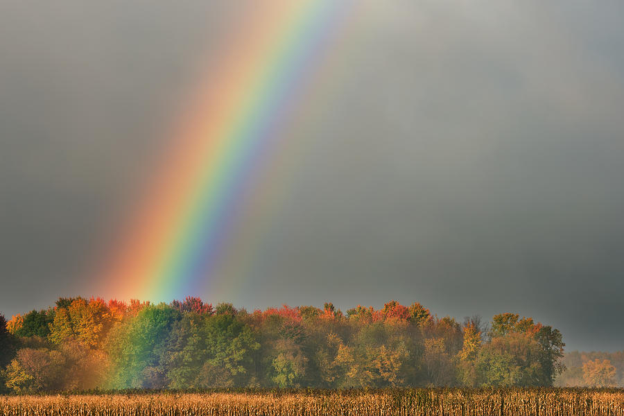 Fall Photograph - Rainbow Over Corn Field and Trees by Dean Pennala