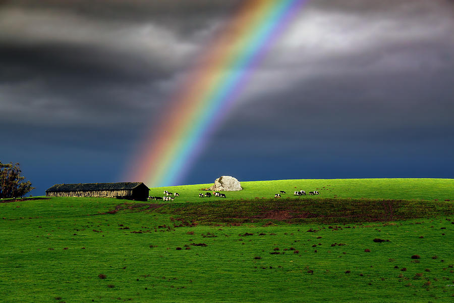 Rainbow over Green Sonoma County Photograph by Wernher Krutein