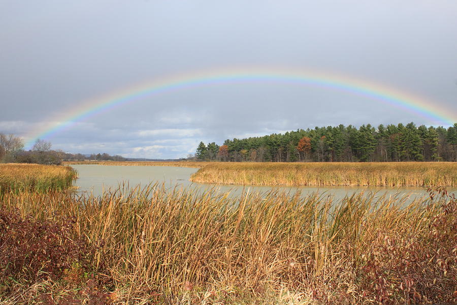 Rainbow over Marsh Photograph by John Burk
