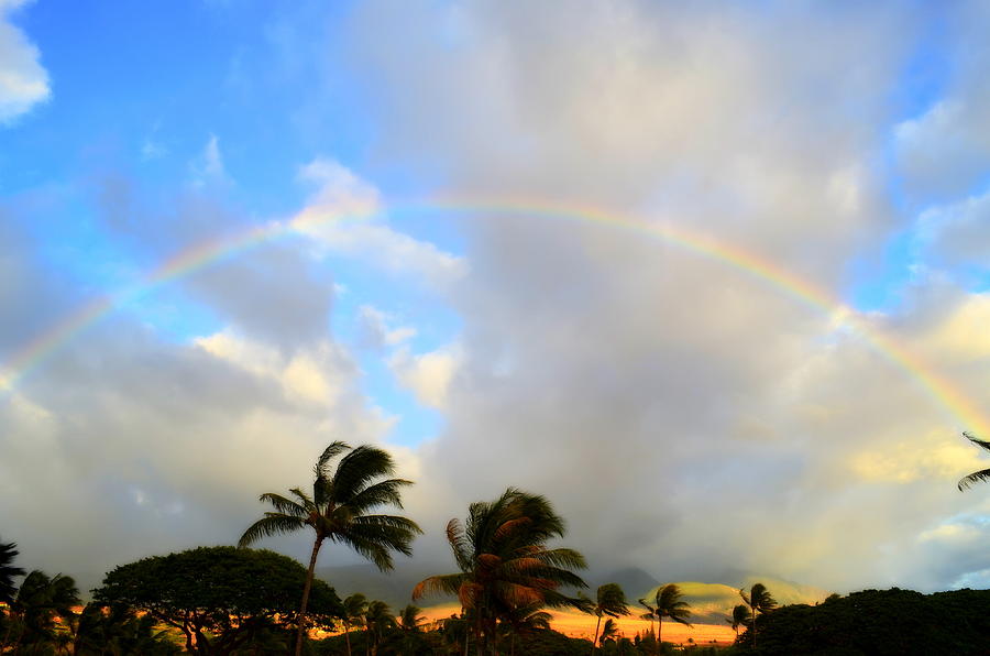 Rainbow over Maui Photograph by Carole Brammer - Fine Art America