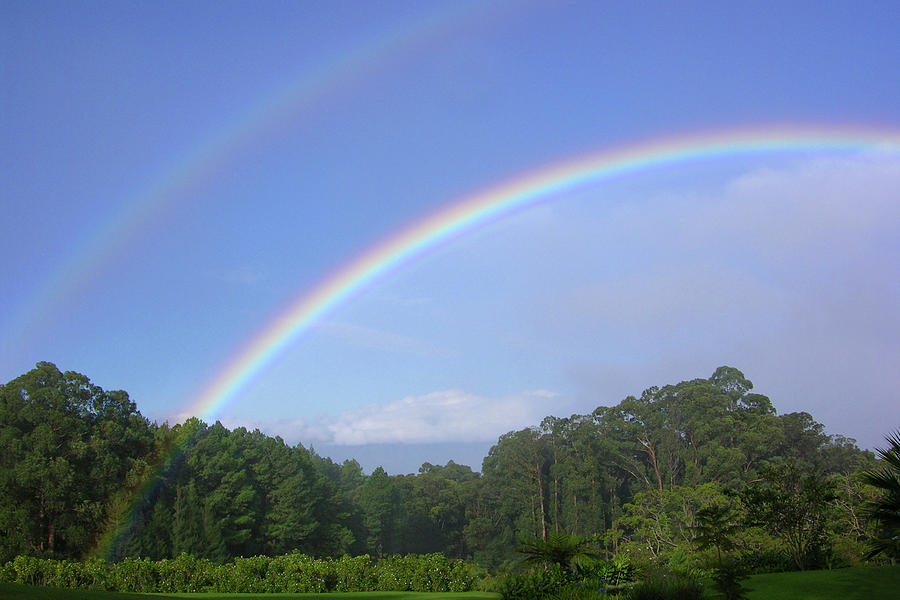 Rainbow over Maui Photograph by James Knight