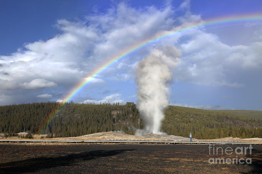 Rainbow over Old Faithful in Yellowstone National Park Photograph by ...