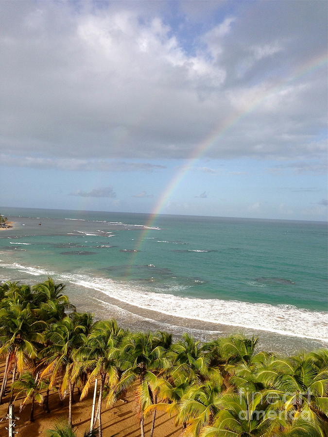 Rainbow Over Palms Photograph by Alice Terrill