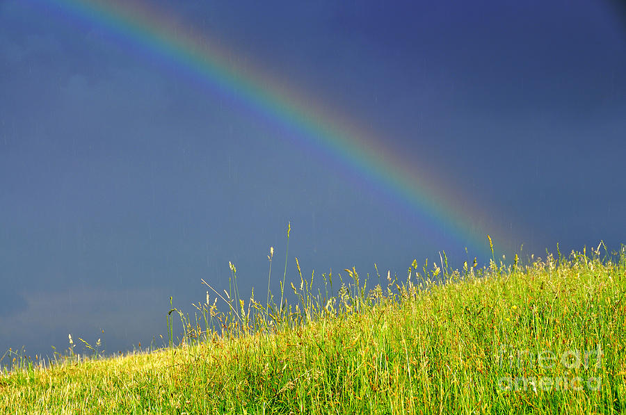 Rainbow over Pasture Field Photograph by Thomas R Fletcher