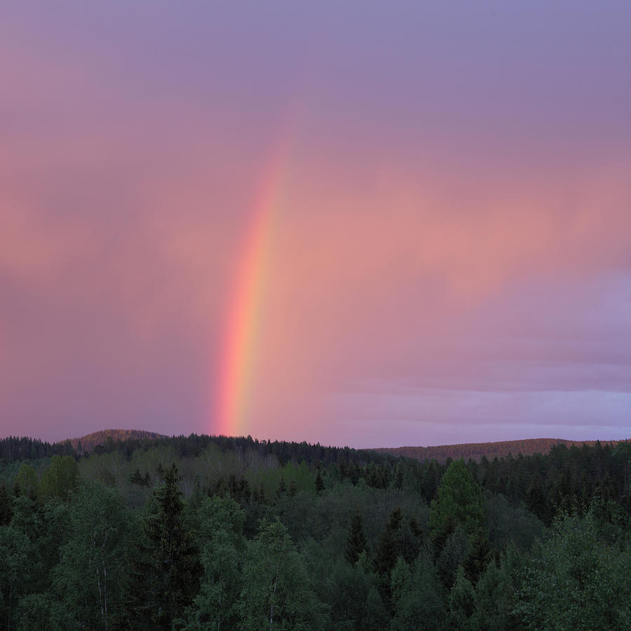 Rainbow over trees Photograph by Ulrich Kunst And Bettina Scheidulin ...