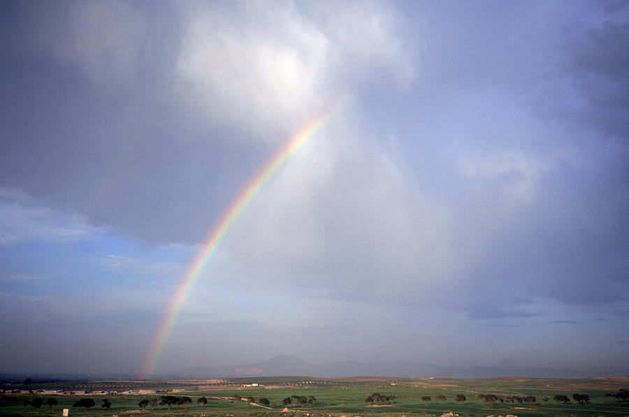 Rainbow Over Tunisia Photograph by K. Van Den Berg