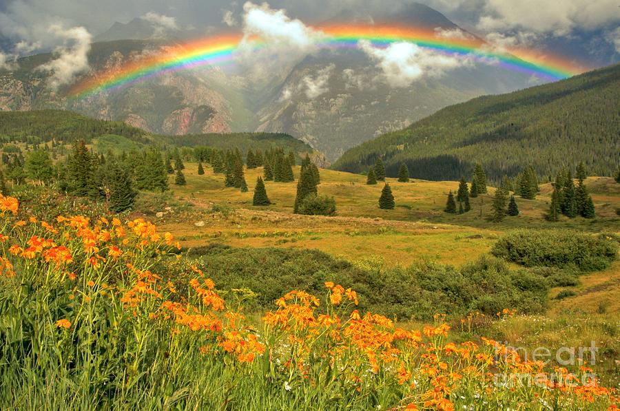 Rainbow Over Wildflowers In The San Juan Mtns. Photograph by Adam Jewell