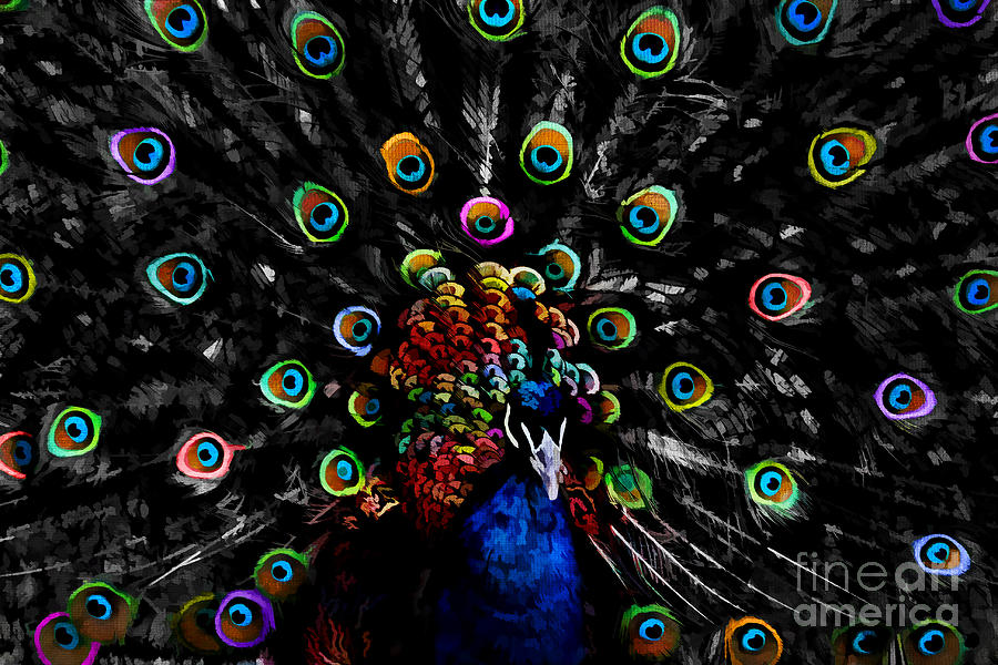 Rainbow Peacock Digital Art by Jayne Carney