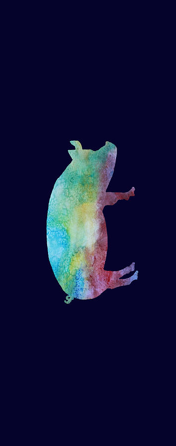 Rainbow Pig Mixed Media by Jenny Armitage