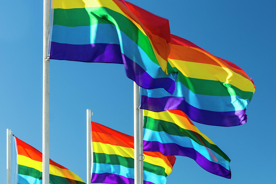 Rainbow Pride Flags Photograph by Stuart Dee