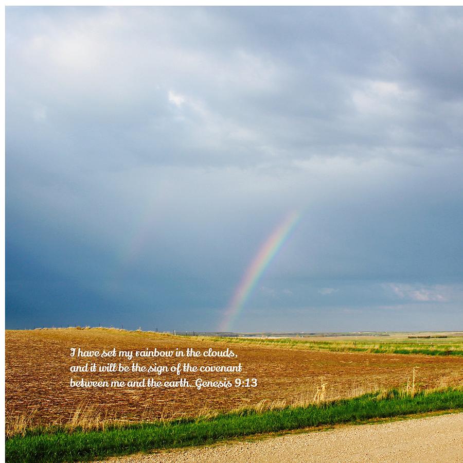 Rainbow Promise Photograph by Gwen Thielges - Fine Art America