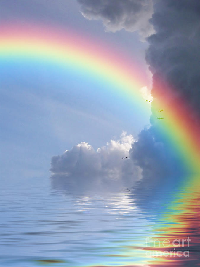 Rainbow Reflection Photograph by Antony McAulay