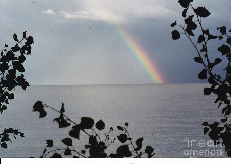 Rainbow Remembrance Photograph by Barbara Plattenburg