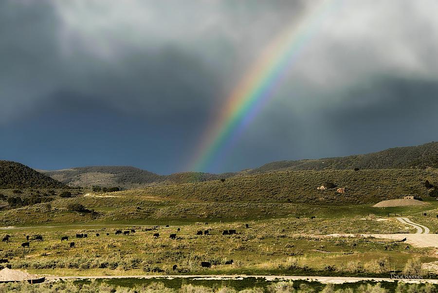 Rainbow Ridge Photograph by Dyle   Warren