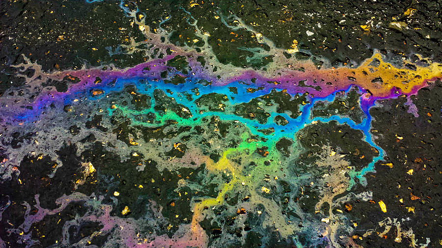 Rainbow River and Gold Photograph by Lynn Hansen