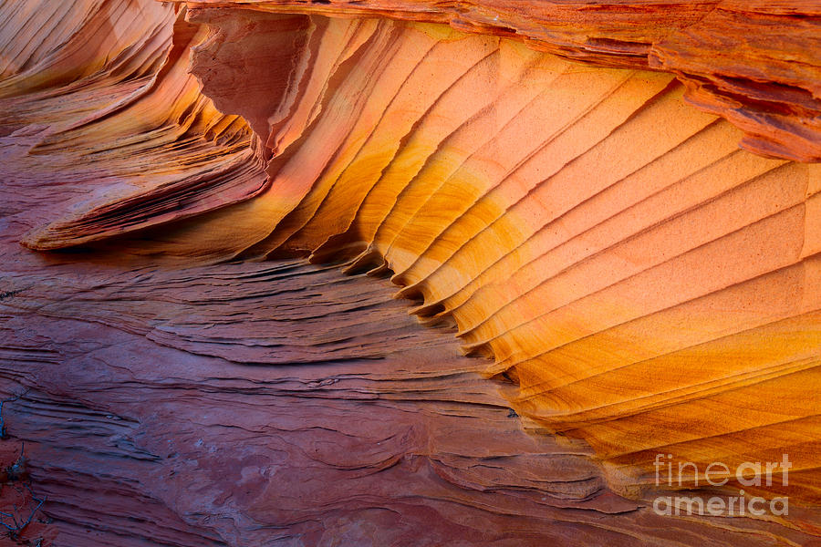 Rainbow Rocks Detail Photograph by Inge Johnsson