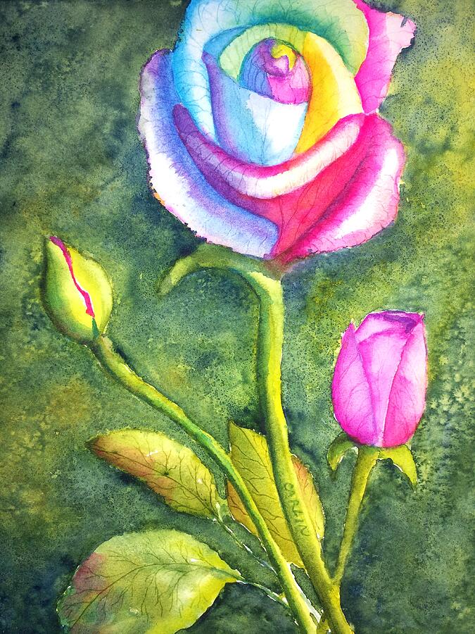 Rainbow Rose and Buds Painting by Carlin Blahnik CarlinArtWatercolor
