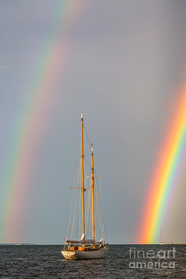 Rainbow Sail Photograph by Susan Cole Kelly