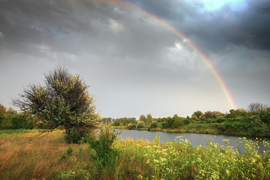 Rainbow Photograph by Savushkin