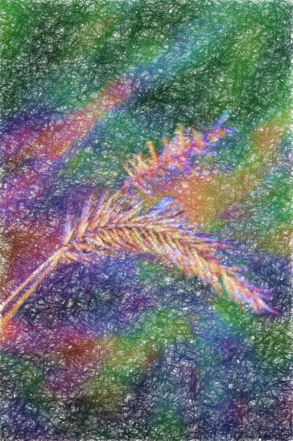Rainbow Seedhead Painting by Scott Carlton